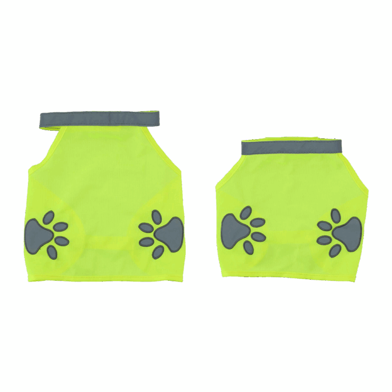 9069604_01